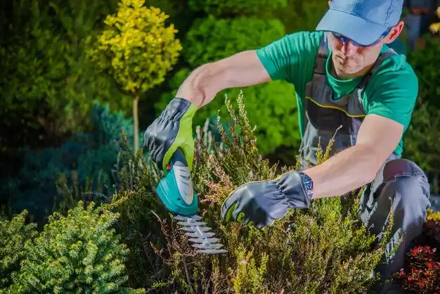 landscaping services Hudsonville